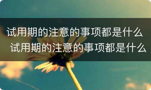 试用期的注意的事项都是什么 试用期的注意的事项都是什么意思