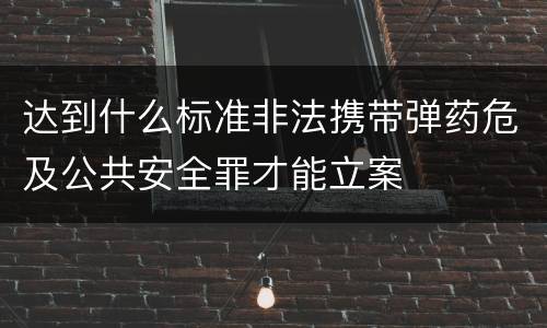 达到什么标准非法携带弹药危及公共安全罪才能立案