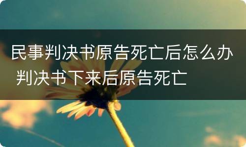 民事判决书原告死亡后怎么办 判决书下来后原告死亡