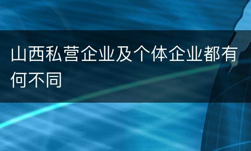 山西私营企业及个体企业都有何不同