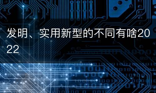 发明、实用新型的不同有啥2022