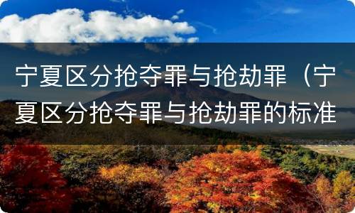 宁夏区分抢夺罪与抢劫罪（宁夏区分抢夺罪与抢劫罪的标准）