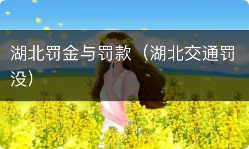 湖北罚金与罚款（湖北交通罚没）