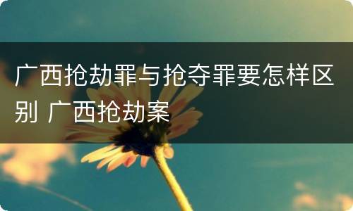 广西抢劫罪与抢夺罪要怎样区别 广西抢劫案
