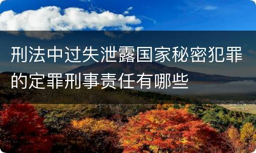 刑法中过失泄露国家秘密犯罪的定罪刑事责任有哪些