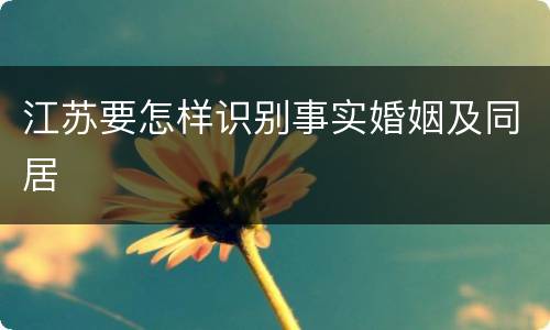 江苏要怎样识别事实婚姻及同居