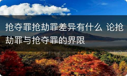 抢夺罪抢劫罪差异有什么 论抢劫罪与抢夺罪的界限