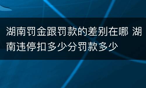 湖南罚金跟罚款的差别在哪 湖南违停扣多少分罚款多少
