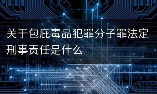 关于包庇毒品犯罪分子罪法定刑事责任是什么