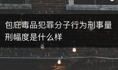 包庇毒品犯罪分子行为刑事量刑幅度是什么样