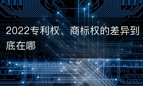 2022专利权、商标权的差异到底在哪