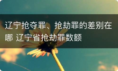 辽宁抢夺罪、抢劫罪的差别在哪 辽宁省抢劫罪数额