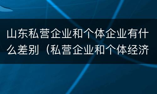 山东私营企业和个体企业有什么差别（私营企业和个体经济的区别）