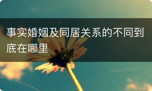 事实婚姻及同居关系的不同到底在哪里