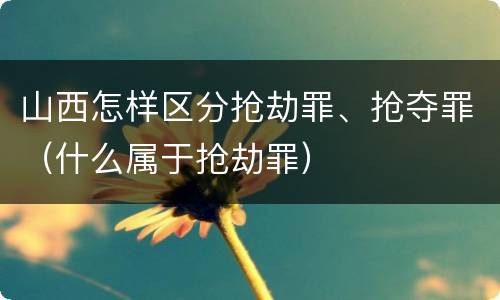 山西怎样区分抢劫罪、抢夺罪（什么属于抢劫罪）