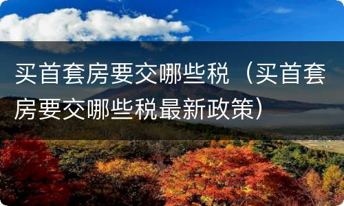 买首套房要交哪些税（买首套房要交哪些税最新政策）