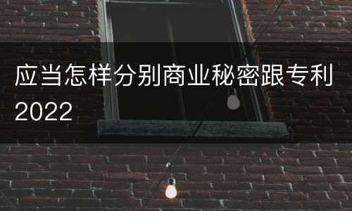 应当怎样分别商业秘密跟专利2022