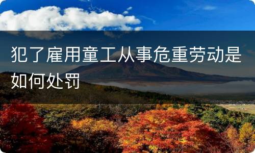 犯了雇用童工从事危重劳动是如何处罚