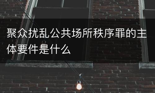 聚众扰乱公共场所秩序罪的主体要件是什么