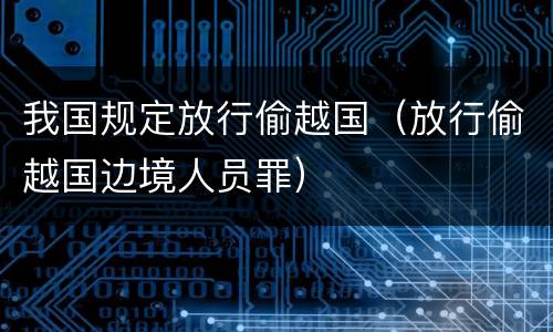 我国规定放行偷越国（放行偷越国边境人员罪）