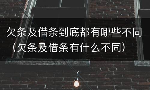 欠条及借条到底都有哪些不同（欠条及借条有什么不同）