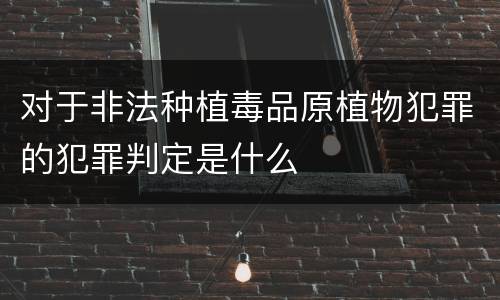 对于非法种植毒品原植物犯罪的犯罪判定是什么