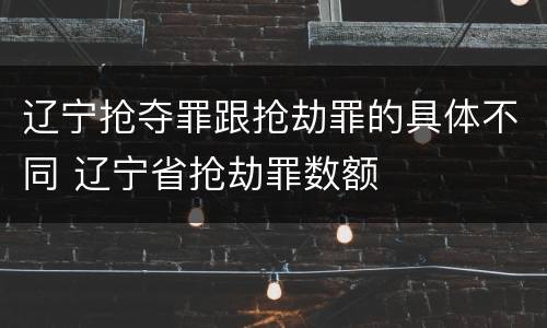辽宁抢夺罪跟抢劫罪的具体不同 辽宁省抢劫罪数额