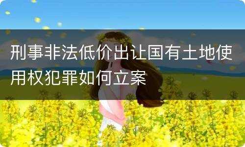 刑事非法低价出让国有土地使用权犯罪如何立案
