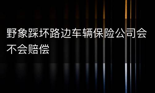 野象踩坏路边车辆保险公司会不会赔偿