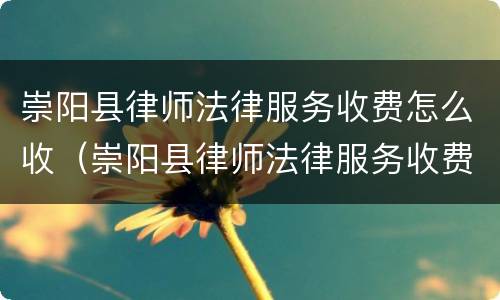 崇阳县律师法律服务收费怎么收（崇阳县律师法律服务收费怎么收费的）