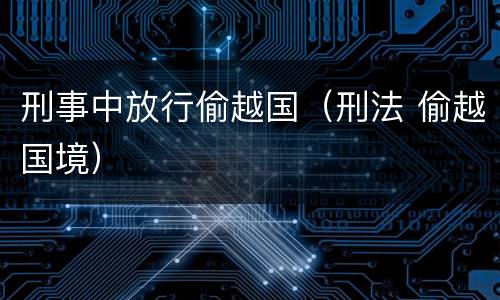 刑事中放行偷越国（刑法 偷越国境）