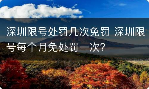 深圳限号处罚几次免罚 深圳限号每个月免处罚一次?