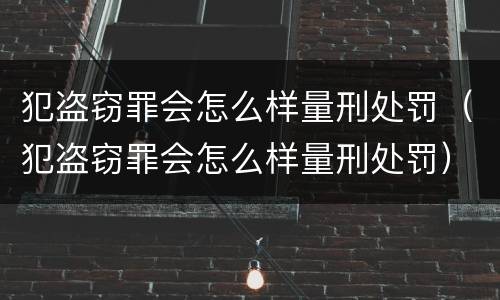 犯盗窃罪会怎么样量刑处罚（犯盗窃罪会怎么样量刑处罚）