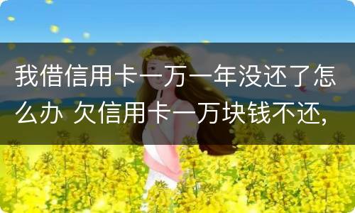 我借信用卡一万一年没还了怎么办 欠信用卡一万块钱不还,一年以后会是多少