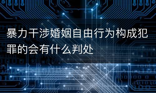 暴力干涉婚姻自由行为构成犯罪的会有什么判处
