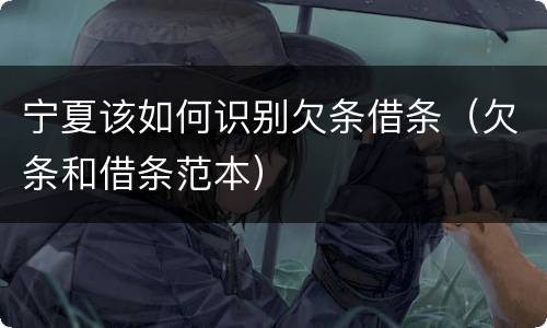 宁夏该如何识别欠条借条（欠条和借条范本）