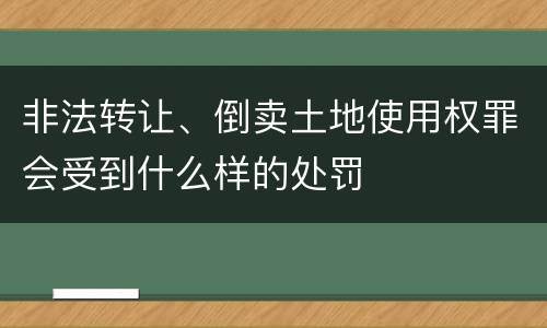 非法转让、倒卖土地使用权罪会受到什么样的处罚