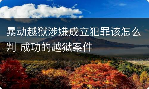 暴动越狱涉嫌成立犯罪该怎么判 成功的越狱案件