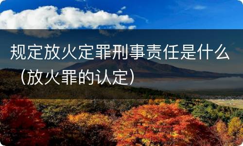 规定放火定罪刑事责任是什么（放火罪的认定）