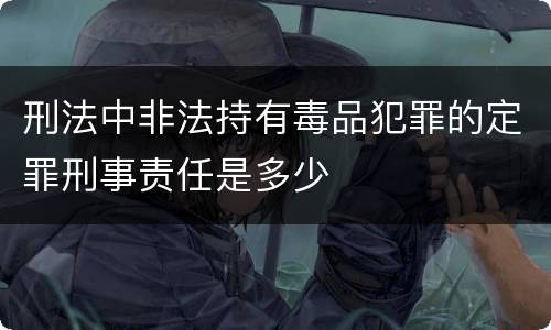 刑法中非法持有毒品犯罪的定罪刑事责任是多少