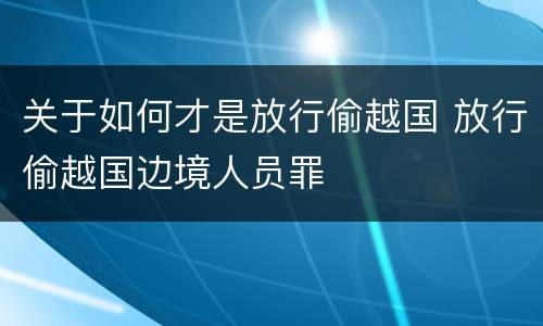 关于如何才是放行偷越国 放行偷越国边境人员罪