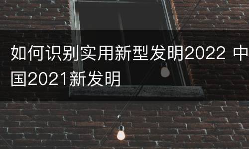 如何识别实用新型发明2022 中国2021新发明