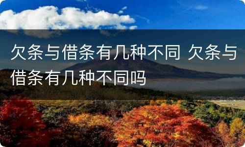 欠条与借条有几种不同 欠条与借条有几种不同吗