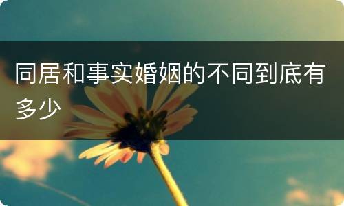 同居和事实婚姻的不同到底有多少