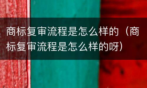 商标复审流程是怎么样的（商标复审流程是怎么样的呀）