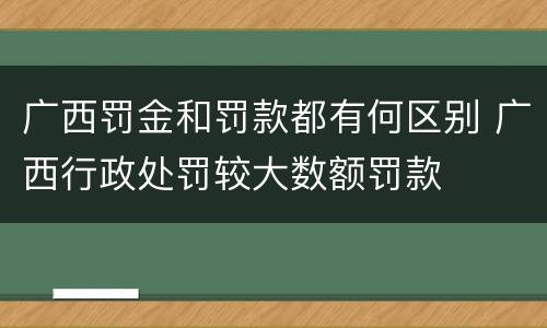 广西罚金和罚款都有何区别 广西行政处罚较大数额罚款