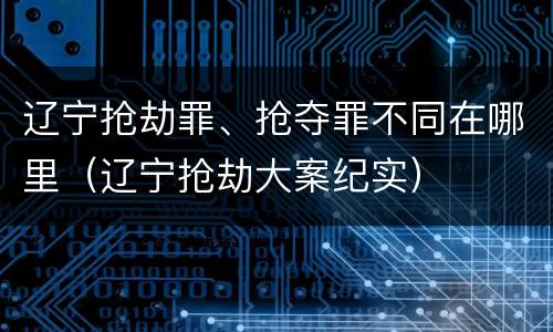 辽宁抢劫罪、抢夺罪不同在哪里（辽宁抢劫大案纪实）
