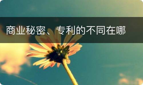 商业秘密、专利的不同在哪