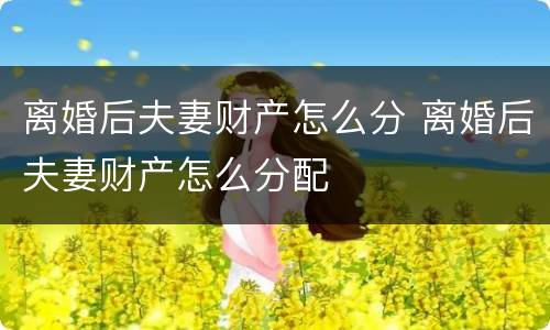 离婚后夫妻财产怎么分 离婚后夫妻财产怎么分配