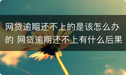 网贷逾期还不上的是该怎么办的 网贷逾期还不上有什么后果